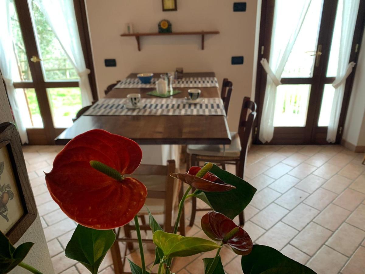 Villa Panorama Gargnano Exteriér fotografie